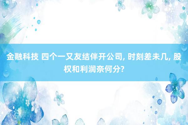 金融科技 四个一又友结伴开公司, 时刻差未几, 股权和利润奈何分?