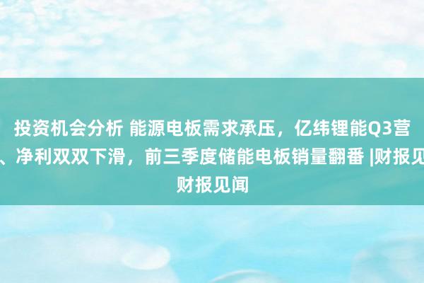 投资机会分析 能源电板需求承压，亿纬锂能Q3营收、净利双双下滑，前三季度储能电板销量翻番 |财报见闻