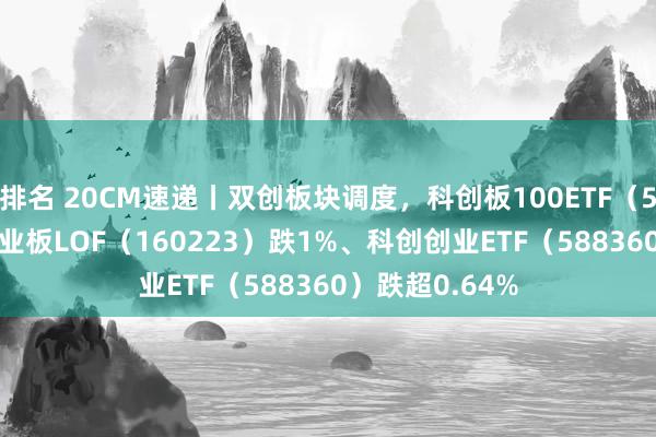 排名 20CM速递丨双创板块调度，科创板100ETF（588120）、创业板LOF（160223）跌1%、科创创业ETF（588360）跌超0.64%