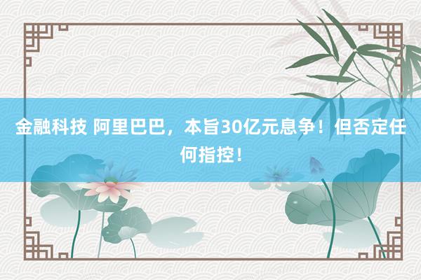 金融科技 阿里巴巴，本旨30亿元息争！但否定任何指控！