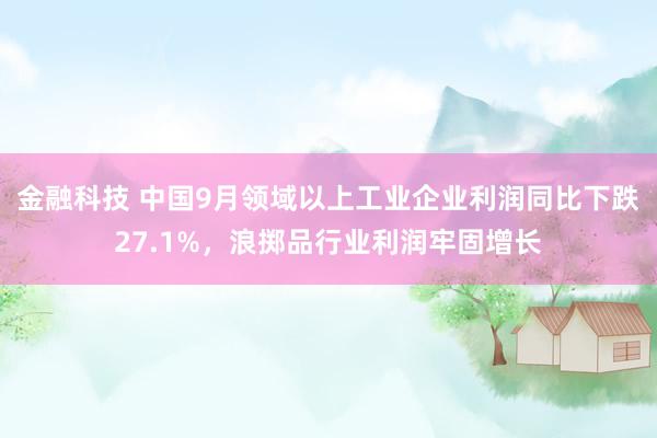 金融科技 中国9月领域以上工业企业利润同比下跌27.1%，浪掷品行业利润牢固增长