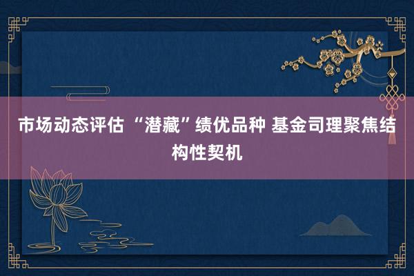 市场动态评估 “潜藏”绩优品种 基金司理聚焦结构性契机