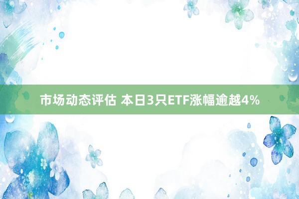 市场动态评估 本日3只ETF涨幅逾越4%