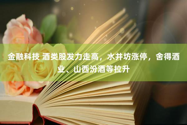 金融科技 酒类股发力走高，水井坊涨停，舍得酒业、山西汾酒等拉升