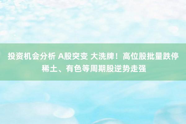 投资机会分析 A股突变 大洗牌！高位股批量跌停 稀土、有色等周期股逆势走强