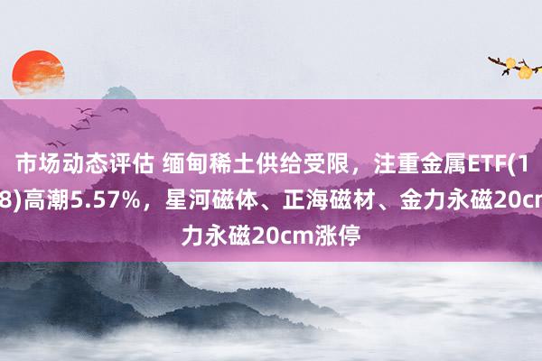 市场动态评估 缅甸稀土供给受限，注重金属ETF(159608)高潮5.57%，星河磁体、正海磁材、金力永磁20cm涨停