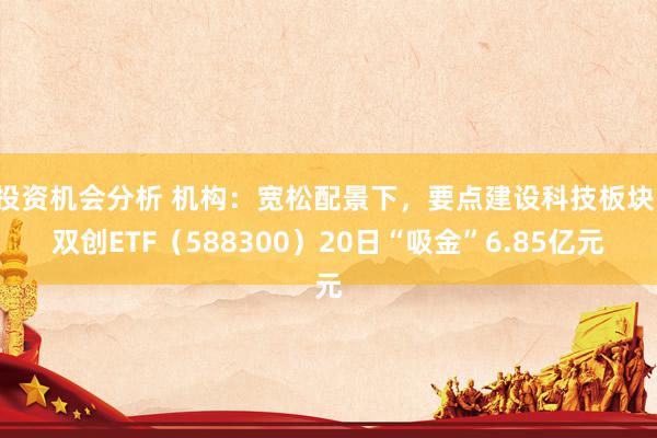 投资机会分析 机构：宽松配景下，要点建设科技板块！双创ETF（588300）20日“吸金”6.85亿元