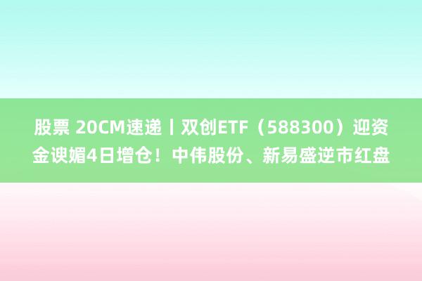 股票 20CM速递丨双创ETF（588300）迎资金谀媚4日增仓！中伟股份、新易盛逆市红盘