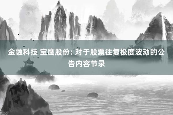 金融科技 宝鹰股份: 对于股票往复极度波动的公告内容节录