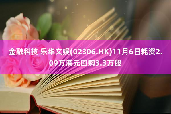 金融科技 乐华文娱(02306.HK)11月6日耗资2.09万港元回购3.3万股