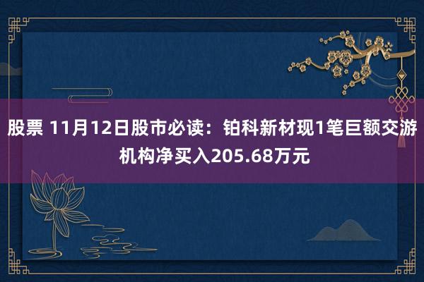 股票 11月12日股市必读：铂科新材现1笔巨额交游 机构净买入205.68万元