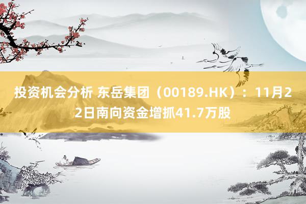 投资机会分析 东岳集团（00189.HK）：11月22日南向资金增抓41.7万股