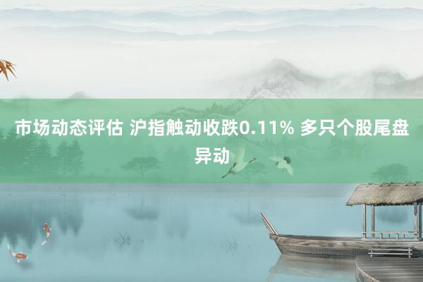 市场动态评估 沪指触动收跌0.11% 多只个股尾盘异动