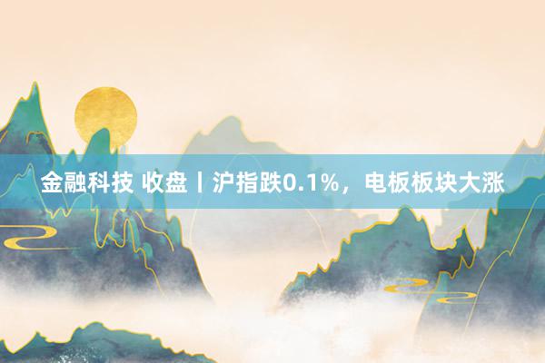 金融科技 收盘丨沪指跌0.1%，电板板块大涨