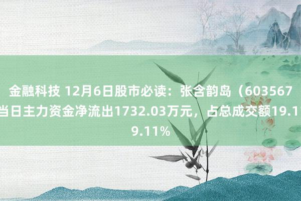 金融科技 12月6日股市必读：张含韵岛（603567）当日主力资金净流出1732.03万元，占总成交额19.11%