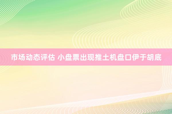 市场动态评估 小盘票出现推土机盘口伊于胡底