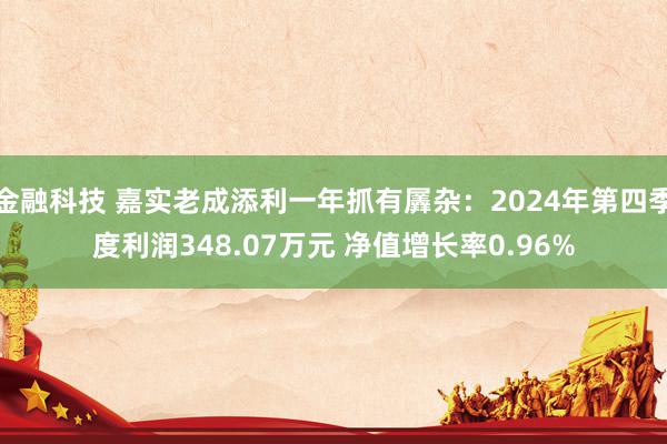 金融科技 嘉实老成添利一年抓有羼杂：2024年第四季度利润348.07万元 净值增长率0.96%