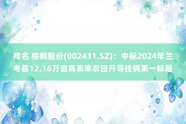 排名 棕榈股份(002431.SZ)：中标2024年兰考县12.16万亩高表率农田开导技俩第一标段