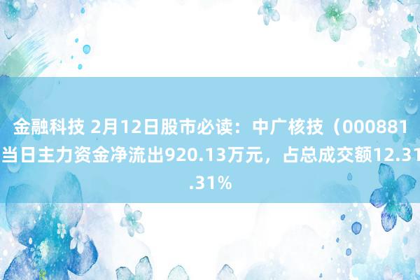 金融科技 2月12日股市必读：中广核技（000881）当日主力资金净流出920.13万元，占总成交额12.31%