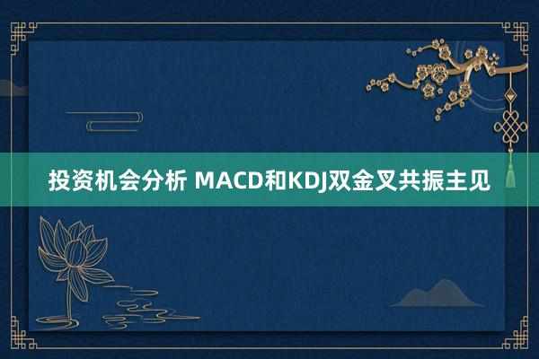 投资机会分析 MACD和KDJ双金叉共振主见