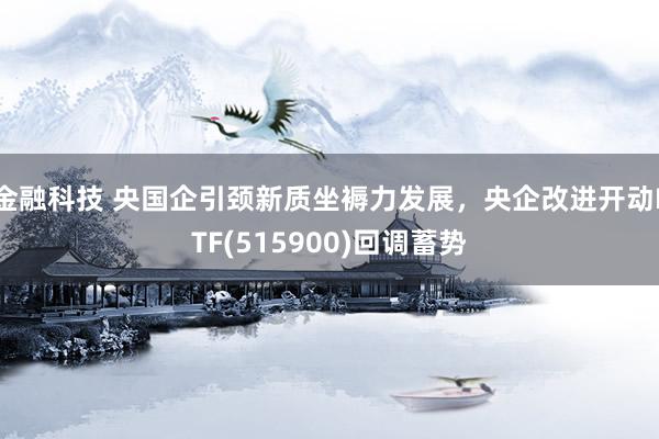 金融科技 央国企引颈新质坐褥力发展，央企改进开动ETF(515900)回调蓄势