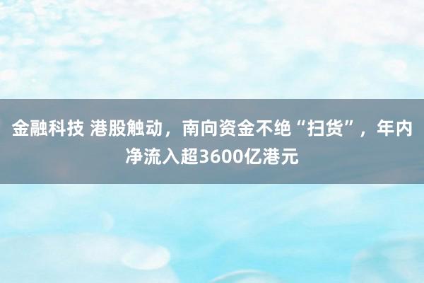 金融科技 港股触动，南向资金不绝“扫货”，年内净流入超3600亿港元