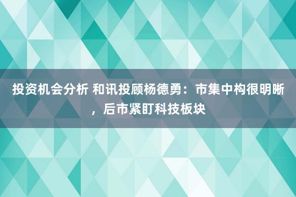 投资机会分析 和讯投顾杨德勇：市集中构很明晰，后市紧盯科技板块